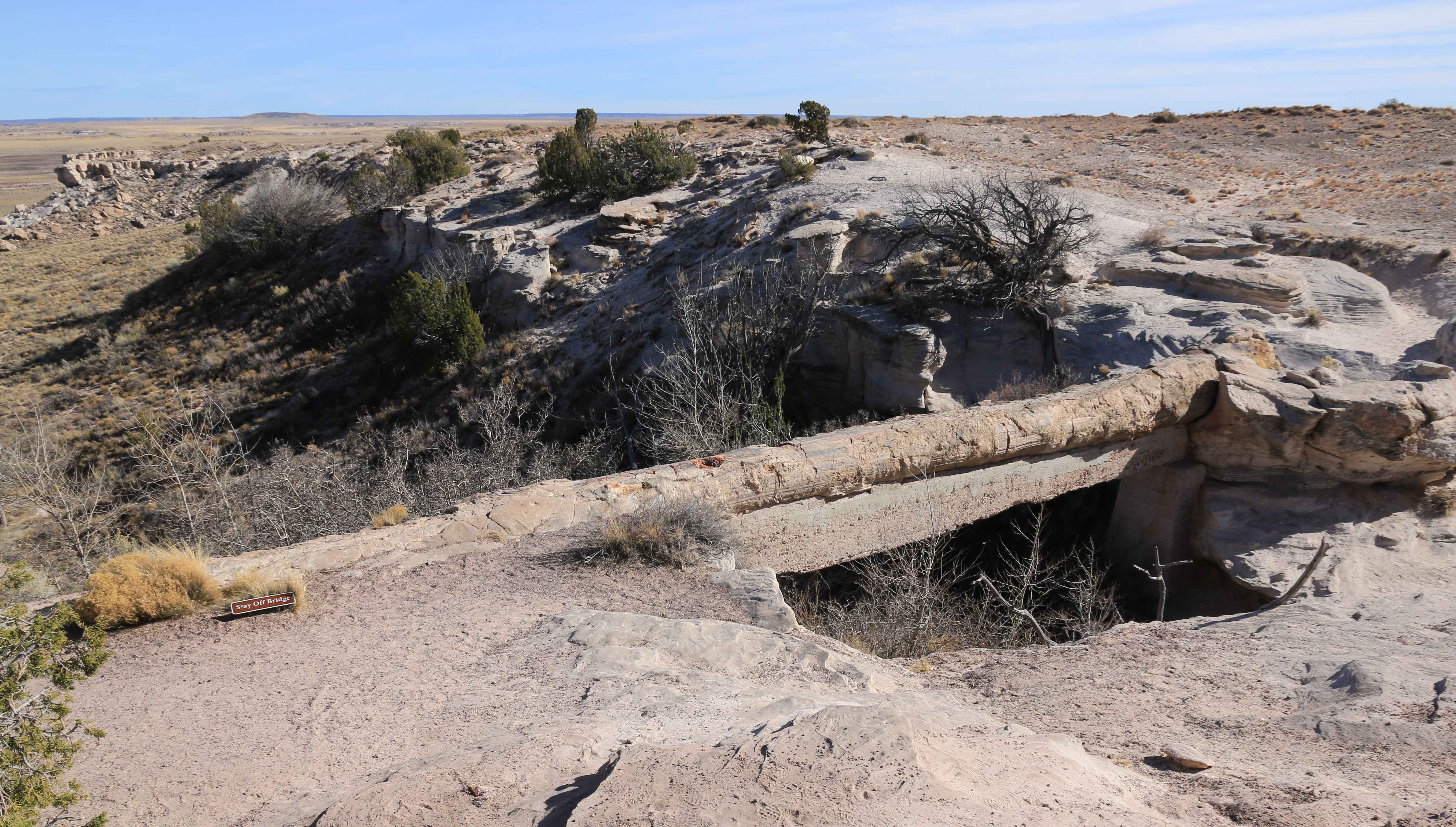 Petrified Forest NP